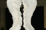 fluegel
