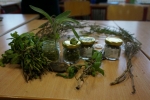 Badesalz aus dem Schulgarten