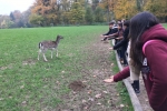 Foto 09.11.17, 11 02 12