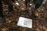 Foto 09.11.17, 11 56 40