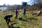 Holz sammeln