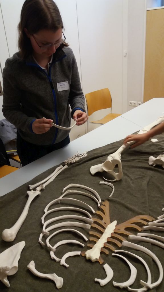 Senckenberg_2