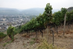 Ahrweiler