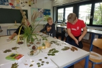 BioDSC09049
