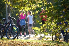 HerbstDSC09177