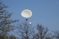 CWH06911kl