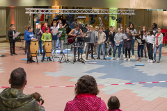 IMGP7545