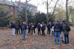 IMG-20191108-WA0017