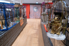DSCF0128